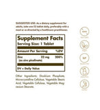 Zinc Picolinate - 22 MG (100 Tablets)