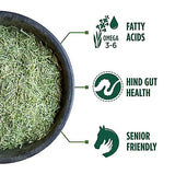 Standlee 1100-70101-0-0 Premium Western Forage 40 Pounds Chopped Alfalfa Feed