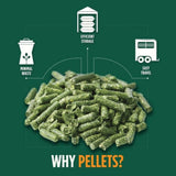 Standlee Premium Western Forage Teff Grass Pellet Horse Feed, 40 lb.