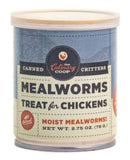 The Culinary Coop 15043 Canned Mealworms Chicken, Treat High-Protein Snack for Poultry 2.75 oz.
