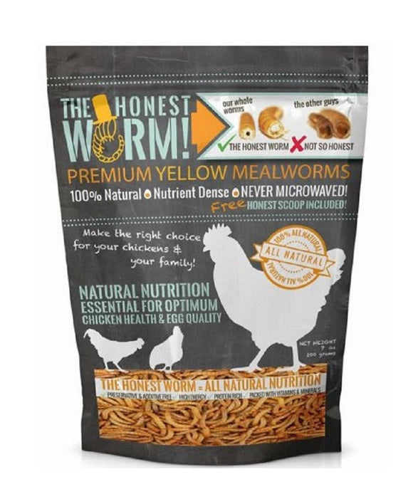 The Honest Worm! 7OZWORM Premium Yellow Mealworms for Optimal Chicken Health