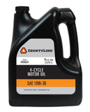 CountyLine 506431 Lawn Mower Oil 4-Cycle 10W-30 Motor Oil 1 gal.