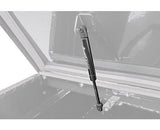 Dee Zee TSC TBSHOCK1 Tool Box Replacement Shock, Ball and Socket, 80 lb., 10 mm