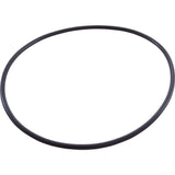 Pentair U9-228A Seal Plate O-Ring for Pentair Max-E-Pro Pool Pump