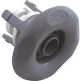 Waterway 212-1247 Adjustable Mini Jet Internal - Gray