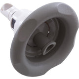 Waterway 212-7607 Power Storm Internal Roto Scalloped - Gray
