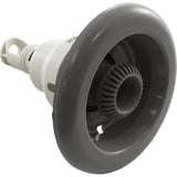 Waterway 229-6647 5" Power Storm Directional Smooth Jet Internal - Gray