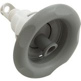 Waterway Power Storm 229-7607 5"fd Roto Power Storm Jet Internal - Gray
