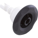Waterway 229-7921 3" FD Jet Internal - Black
