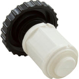 Waterway 605-4370 1" On/Off Valve Plunger and Cap Assembly