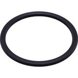 Waterway 711-6090 Internal Gasket Polyjet