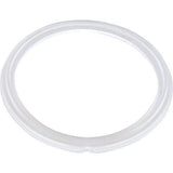 Waterway 711-6910 Flat Mini Storm Jet Gasket