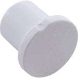 Waterway 715-0040 0.75" Slip Barb Plug Smart Plumb