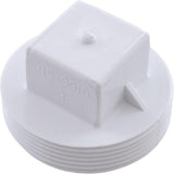 Waterway 715-9910 2" MPT Plug