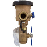 Zurn Wilkins 34-720A 3/4" 720A Pressure Vacuum Breaker Assembly