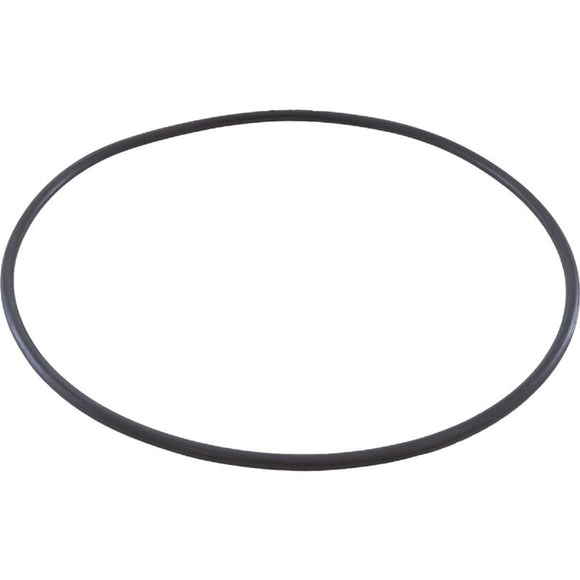 Jandy R0446300 Backplate O-Ring for Jandy SHPF SHPM JEP1.5 Series Pump