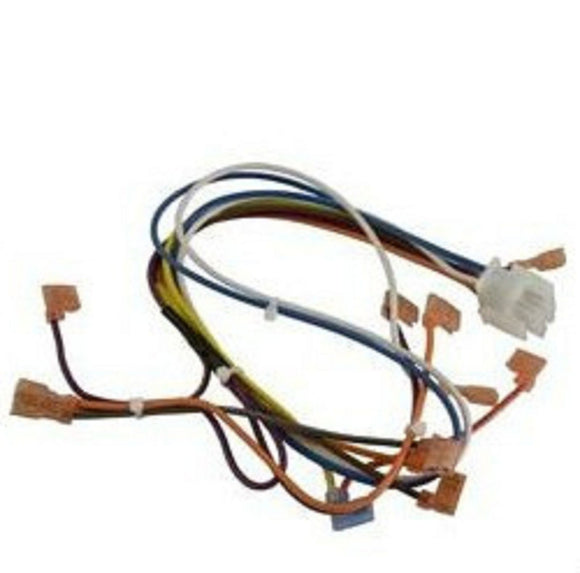 Hayward IHXWHC1930 Induced Draft Heater Replacement Wire Harness