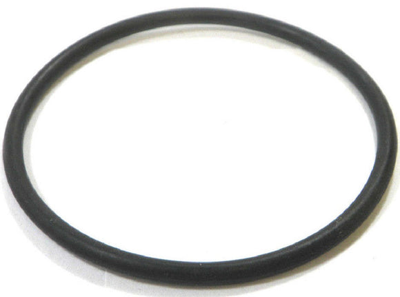 Aqua-Flo 91431200 O-Ring Only For 2-Inch Fitting Tail Piece