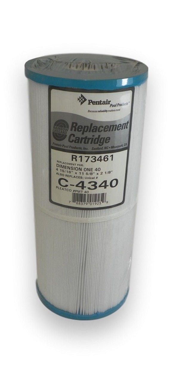Original Pentair R173461 Replacement Cartridge Filter Rainbow Lifeguard
