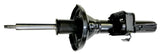 Carquest G67693 Gas Strut