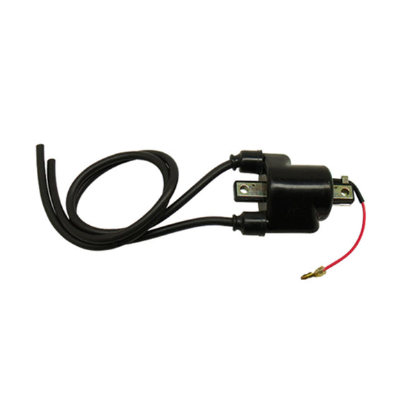 SPI-Sport Part 01-143-14 External Coil CDI Yamaha