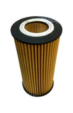 Carquest R84187 Engine Oil Filter