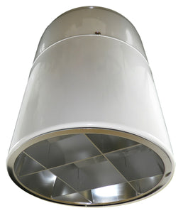 PowerLux PC55 White Induction Luminaire Cylinder 10.75" x 8.5" for Light Fixture