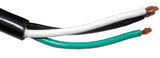 STW E90165-K Insulated Water Resistant 29-ft Cable 600V 3x1.31mm² (16AWG)